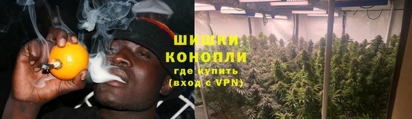apvp Туринск