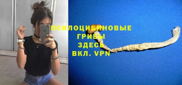 спиды Тихвин