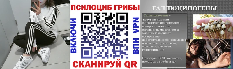 Купить закладки  Славск  Галлюциногенные грибы прущие грибы 