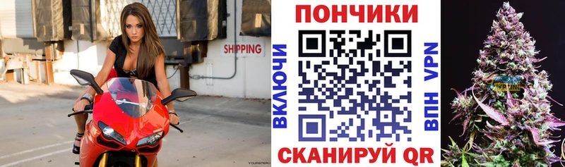 МАРИХУАНА сатива  Купить где  Славск 